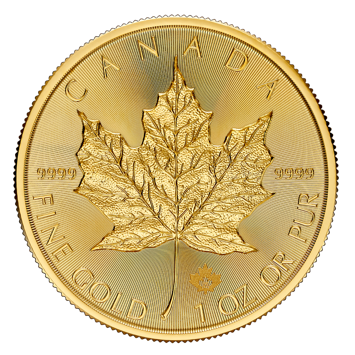 Moneda de Oro 1 oz Maple Leaf — Canadá Años Variados (Mixed Years)